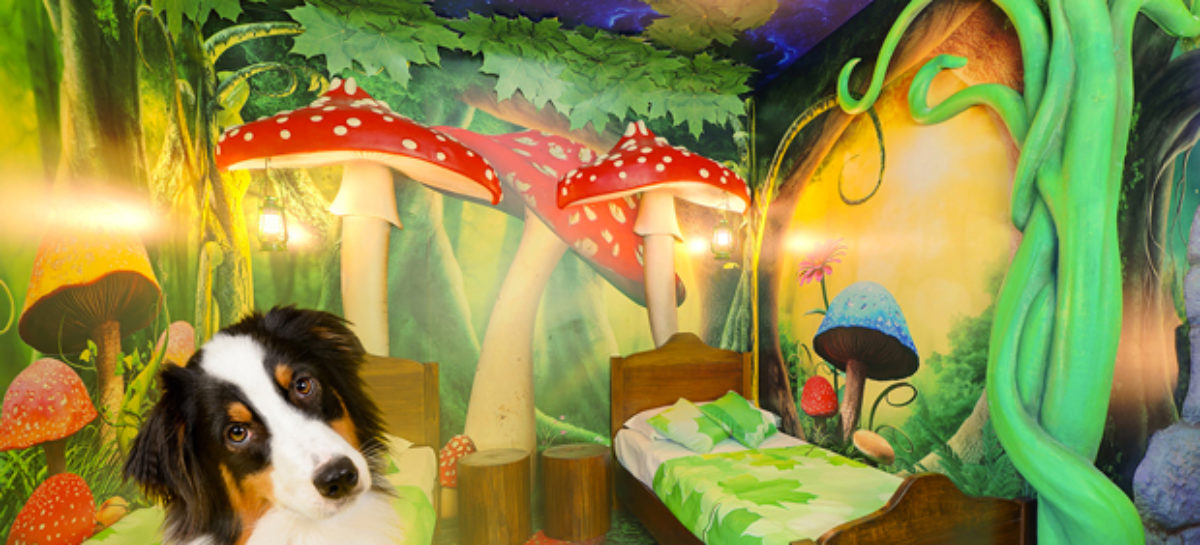 I Gardaland Resort diventano pet friendly per la stagione 2021