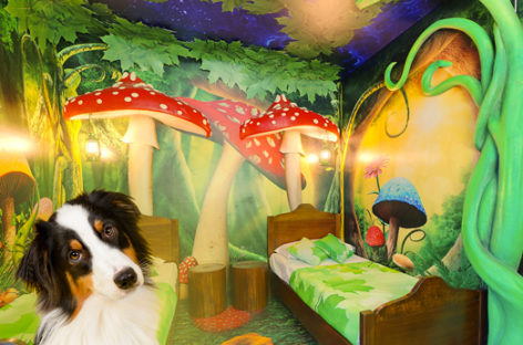 I Gardaland Resort diventano pet friendly per la stagione 2021