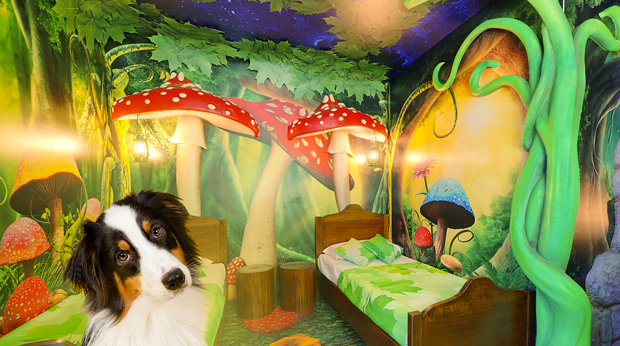 Gardaland resort hotel dog pet friendly