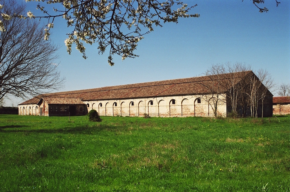 italia patria della bellezza