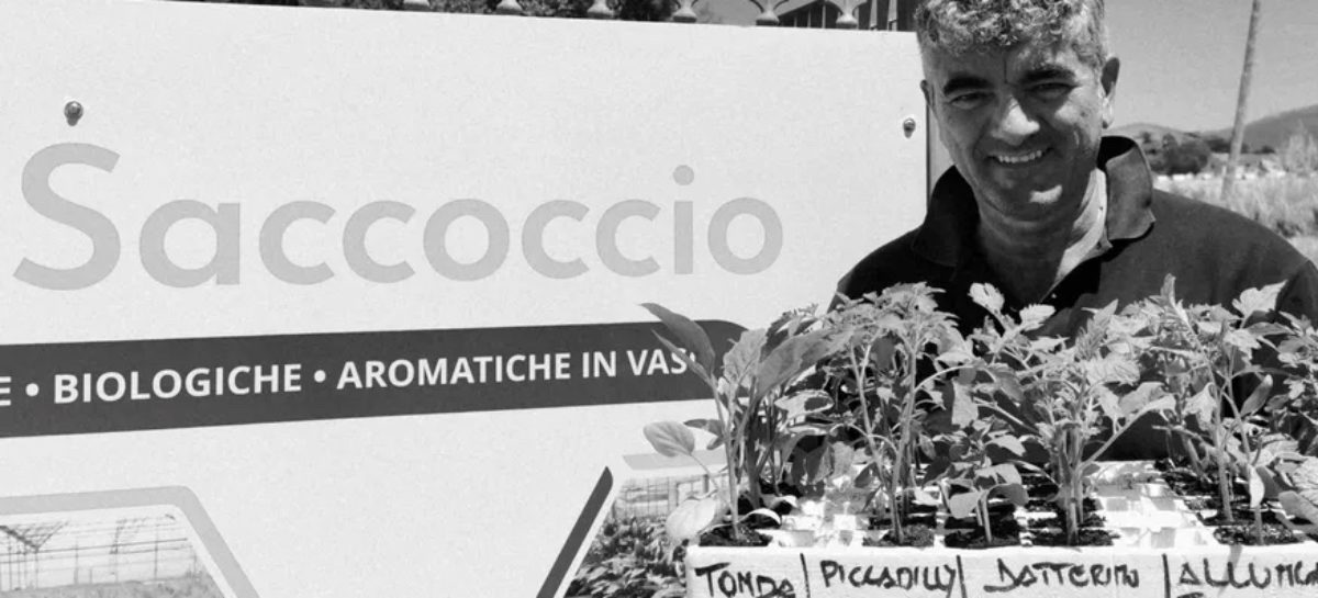 Su ViaggiOff l’altro volto di Saccoccio, intervista al manager-agricoltore