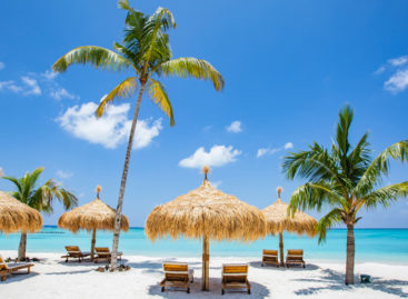 Emerald, Scarapicchia: «Gli italiani sognano le Maldive»