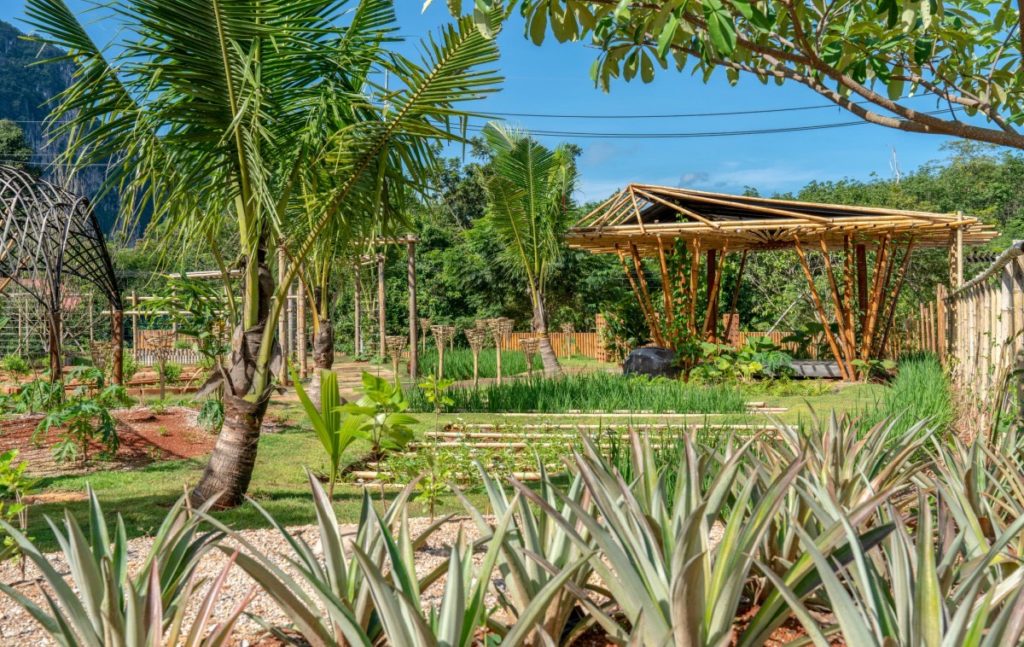 The Pavilions Anana Krabi Farm-2