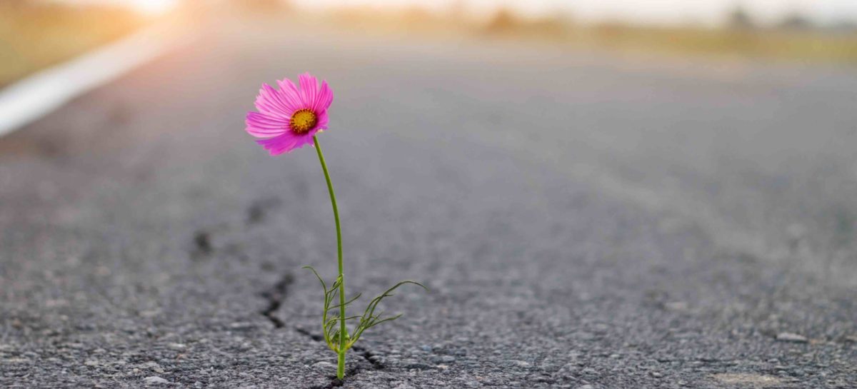 Lockdown dei viaggi, <br>ma è l’ora di ricostruire