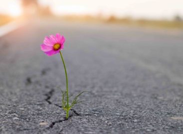 Lockdown dei viaggi, <br>ma è l’ora di ricostruire