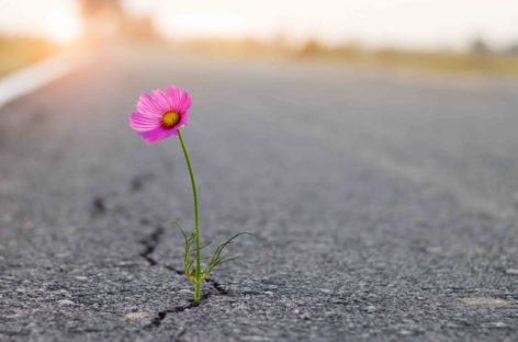 Lockdown dei viaggi, <br>ma è l’ora di ricostruire