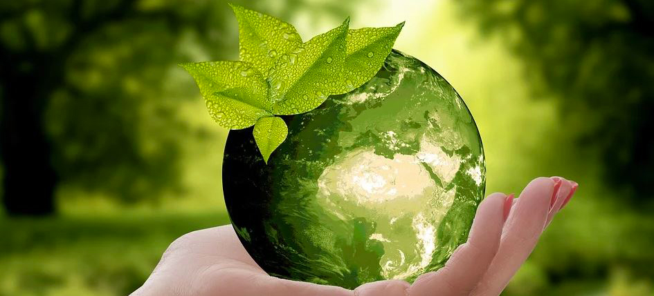 sostenibilità_adobe