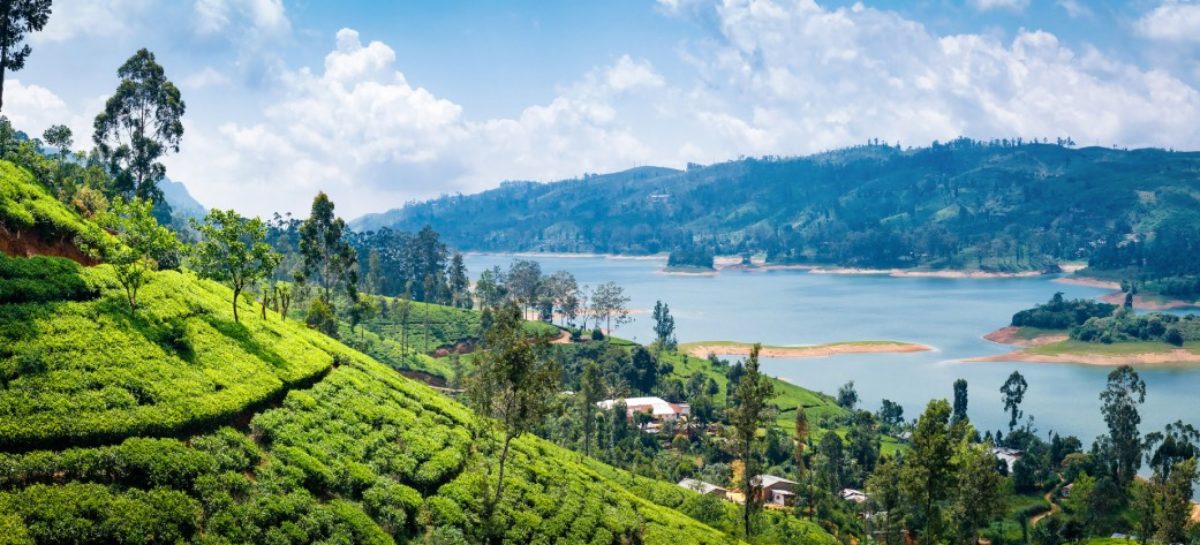 Lo Sri Lanka apre ai turisti internazionali con la formula bio-bolle