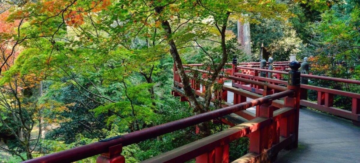 Giappone, il Jnto presenta il workshop online per agenzie e t.o.