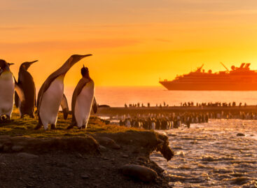 Ponant, crociere Covid free anche in Antartide