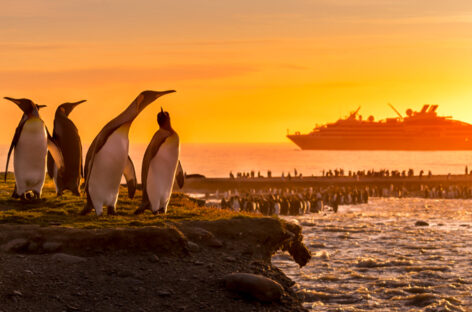 Ponant, crociere Covid free anche in Antartide