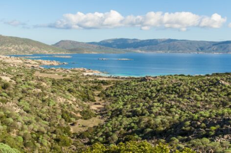 Turismo naturalistico e tecnologia: il buon esempio del Parco dell’Asinara