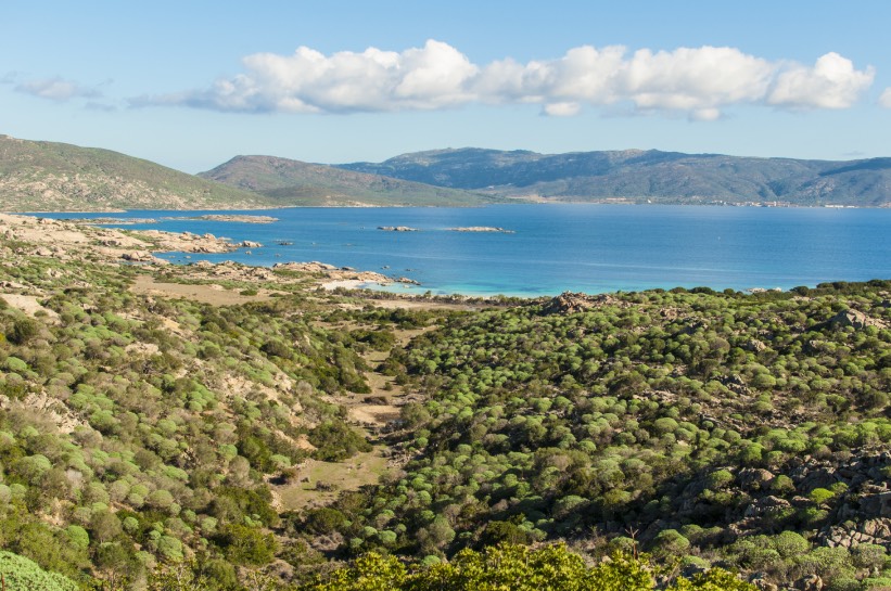Asinara
