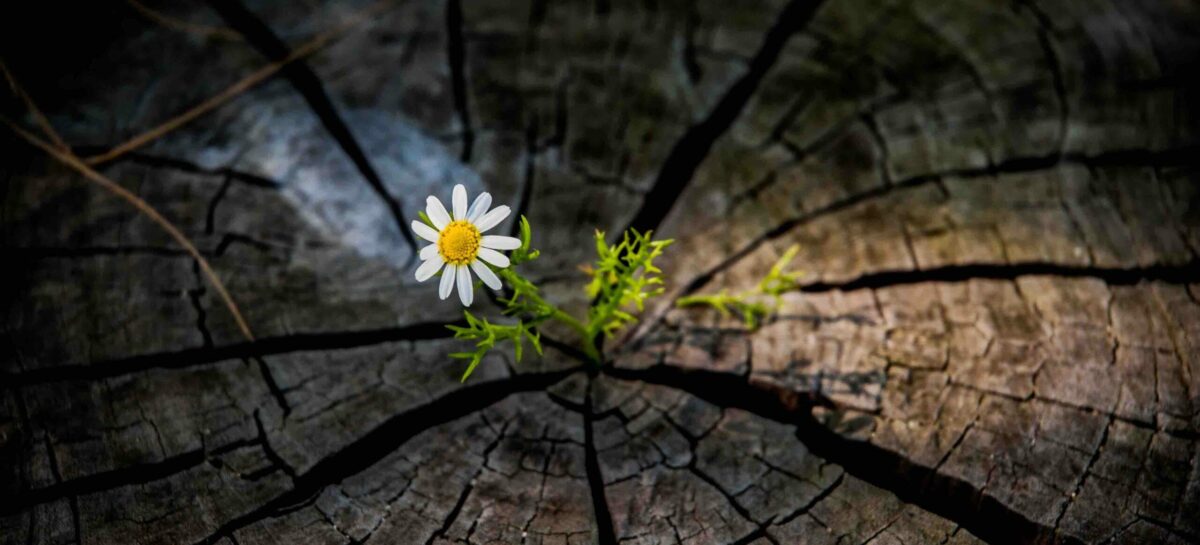 Previsione Euromonitor: «Ripresa del travel nel 2021»