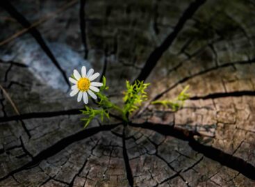 Previsione Euromonitor: «Ripresa del travel nel 2021»