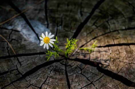 Previsione Euromonitor: «Ripresa del travel nel 2021»