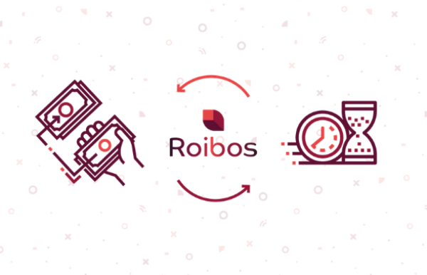 roibos ottimizzazione tempi