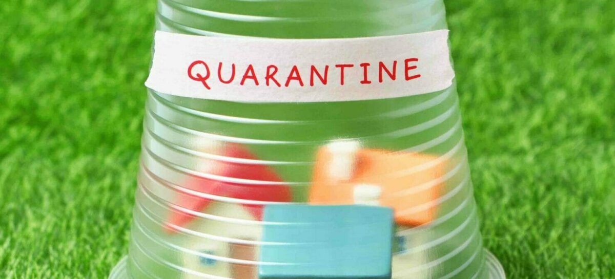 Mini quarantena per tutto aprile: <br>stroncati i viaggi all’estero