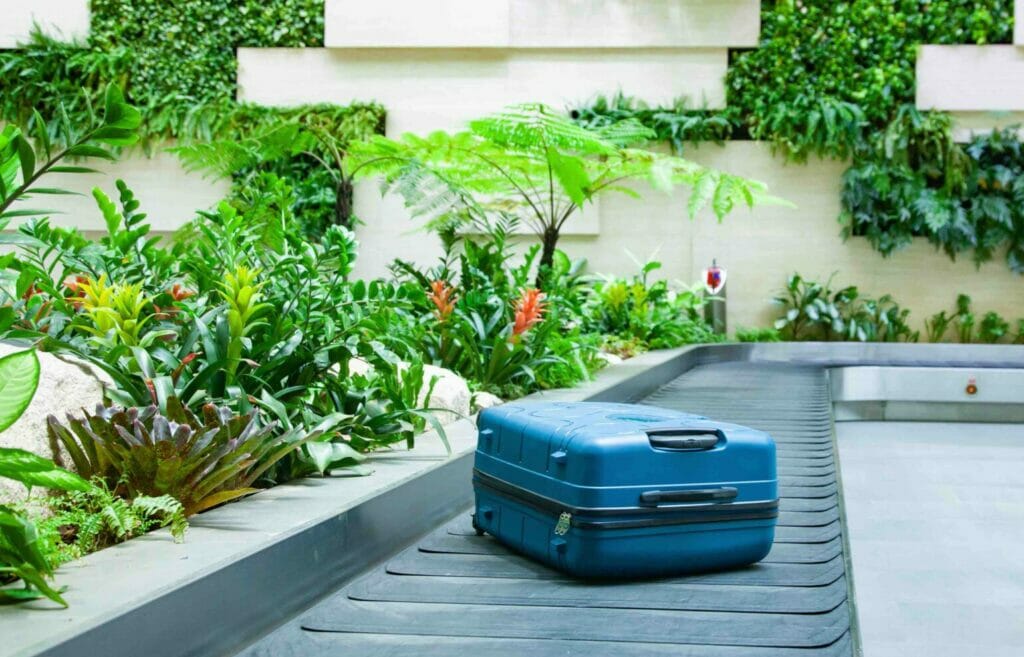 aeroporti aeroporto green