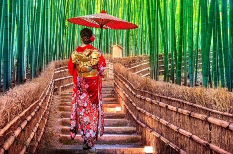 Il Giappone al fianco degli operatori italiani a Napoli