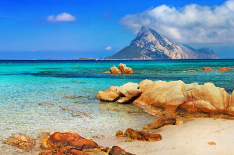 Sardegna per foodies: sei degustazioni alla Bmt