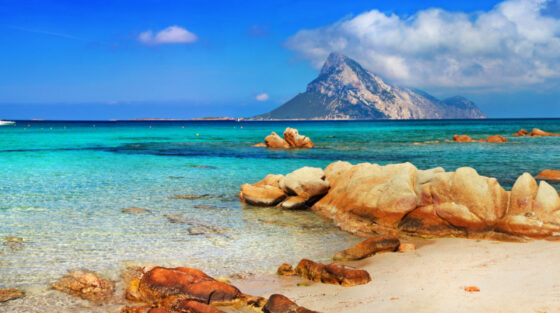 Sardegna per foodies: sei degustazioni alla Bmt