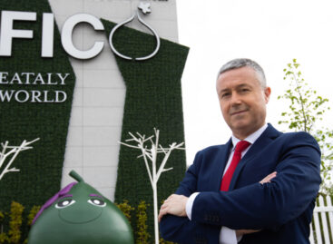 “Chissà se va, ma sì che va”: a Bologna riapre Fico