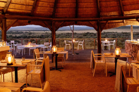 Ti.Es.Bi. porta gli adv alla scoperta di Shamwari con un safari virtuale