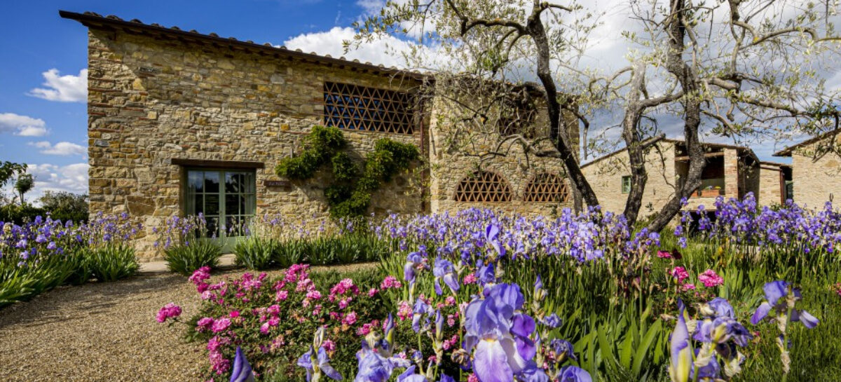 Enoturismo, tra le vigne di Greve in Chianti apre Pietra del Cabreo