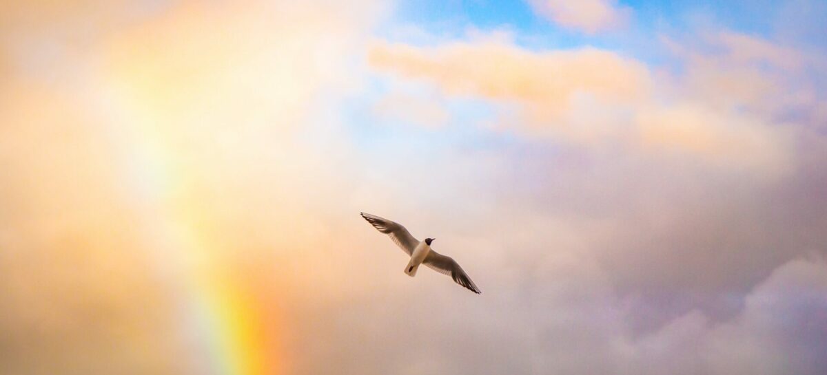 Buon viaggio, Giacomo. L’addio di Viva Wyndham a Dilauro