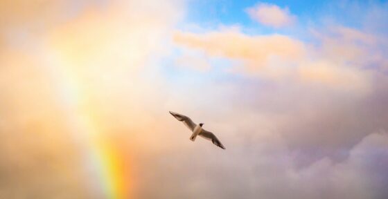 Buon viaggio, Giacomo. L’addio di Viva Wyndham a Dilauro