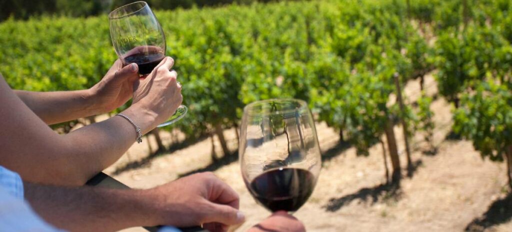 Enoturismo, Wine Tour