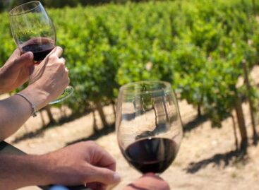 Enoturismo alla ribalta: tutti i numeri del fenomeno italiano