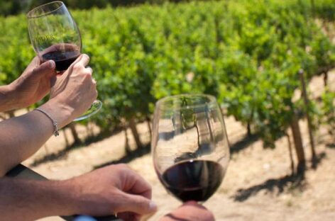 Vinitaly, enoturisti all’appello: lo sono sei italiani su 10