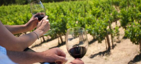 Enoturismo, in Italia vincono Toscana e Piemonte
