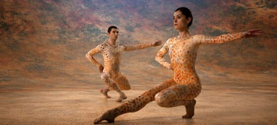 A Bologna la 19esima edizione del Gender Bender Festival