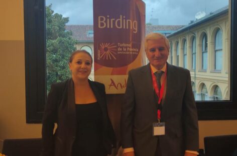 Storia, cultura e natura: così Siviglia rilancia il turismo