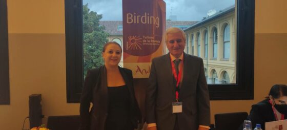 Storia, cultura e natura: così Siviglia rilancia il turismo