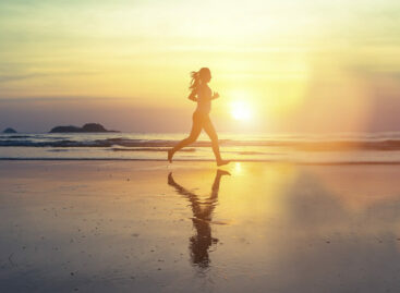 La verità sul Mare Italia: <br>Ota e la corsa a ostacoli dei t.o.