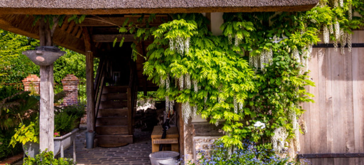 Small Luxury Hotels, arriva la collezione sostenibile