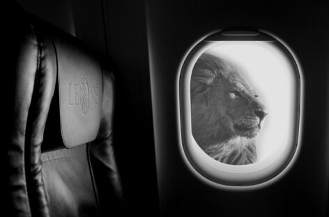 Debutta FlyLeOne, nuovo player sugli scali minori