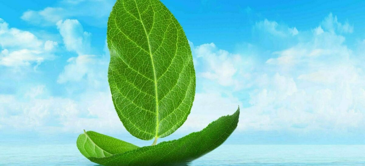 La crociera che verrà? Green, multimodale e hi-tech