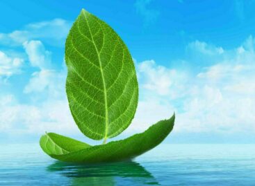 E così la crociera divenne verde: storia di un’evoluzione