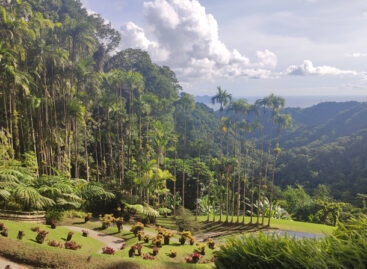 Martinica, viaggio nei Caraibi d’Europa: dove basta il super green pass