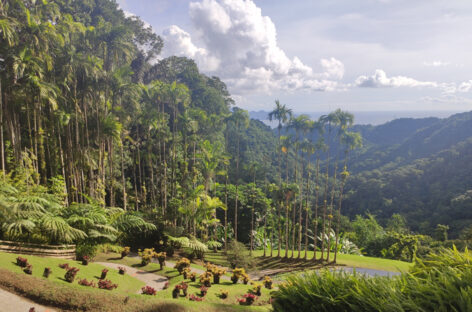 Martinica, viaggio nei Caraibi d’Europa: dove basta il super green pass