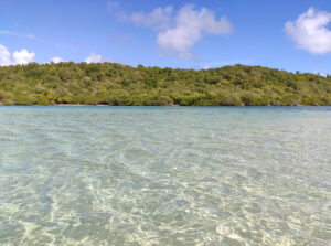 le fonds blancs Martinica