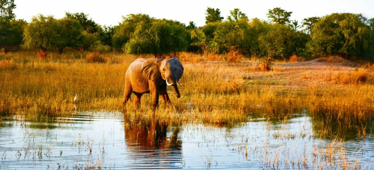 Viaggi in Africa, il t.o. rassicura le adv: «Paga solo chi parte»