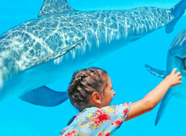 Zoomarine riapre: la stagione 2022 del parco marino di Roma