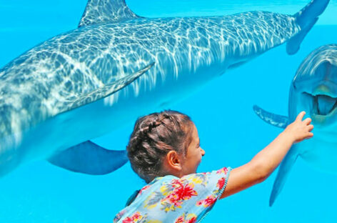 Zoomarine riapre: la stagione 2022 del parco marino di Roma