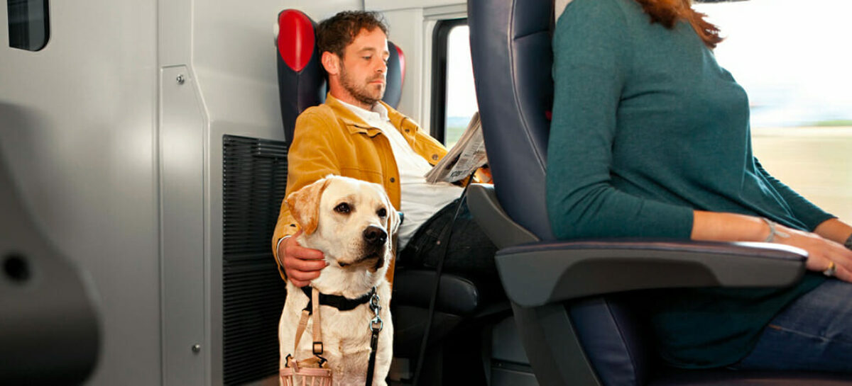 Italo aumenta i posti pet friendly a bordo